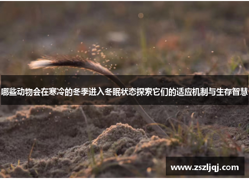 哪些动物会在寒冷的冬季进入冬眠状态探索它们的适应机制与生存智慧