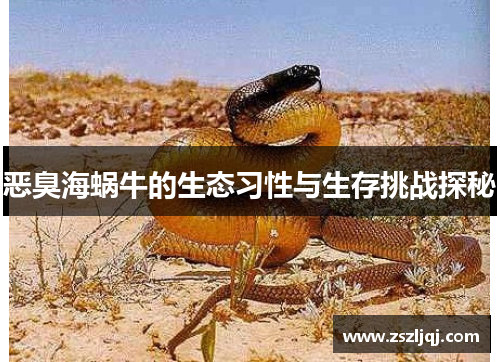 恶臭海蜗牛的生态习性与生存挑战探秘